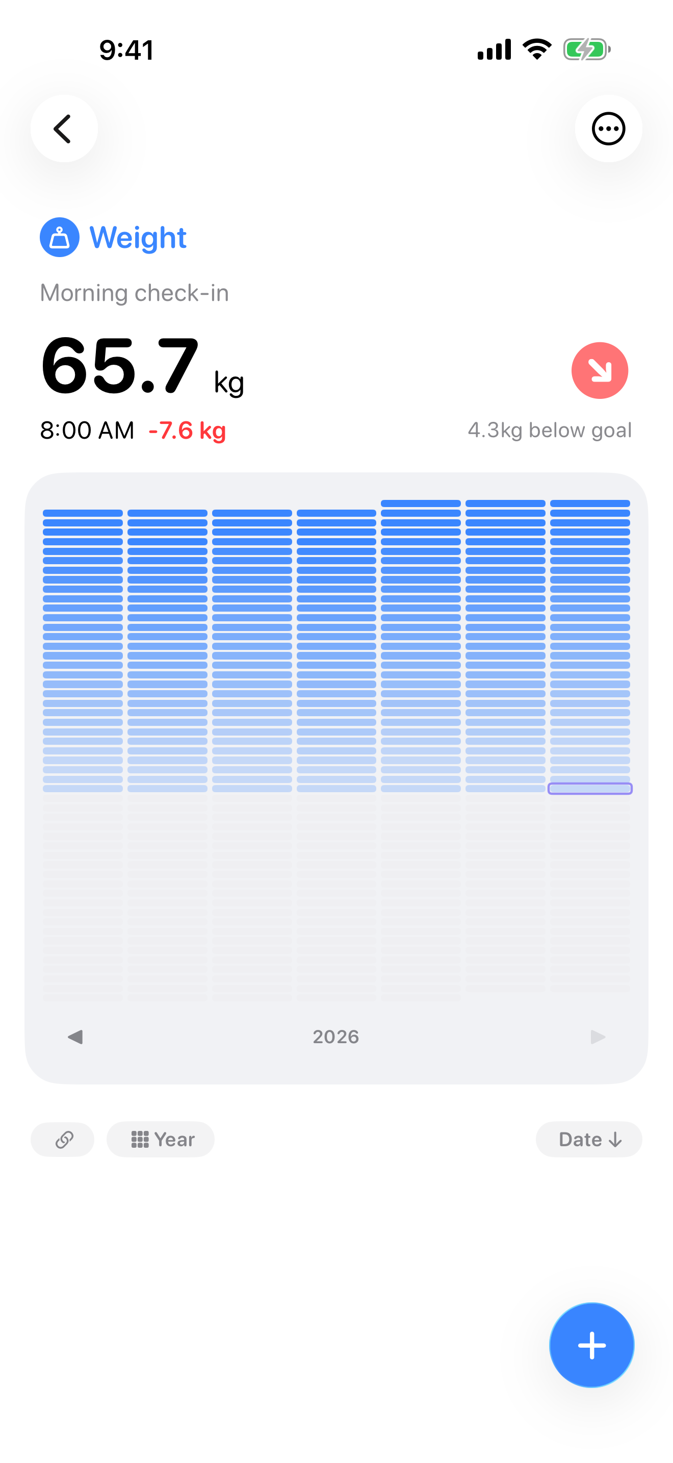 Item Lens year view showing one metric across the year.