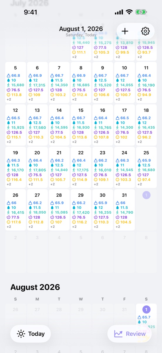 Month calendar showing colorful daily entries.
